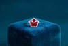 Ruby Blossom Halo Ring in Sterling Silver