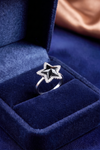 Midnight Star Halo Ring in Sterling Silver